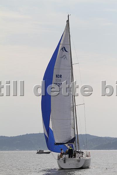 Bundefjorden2012 287.jpg